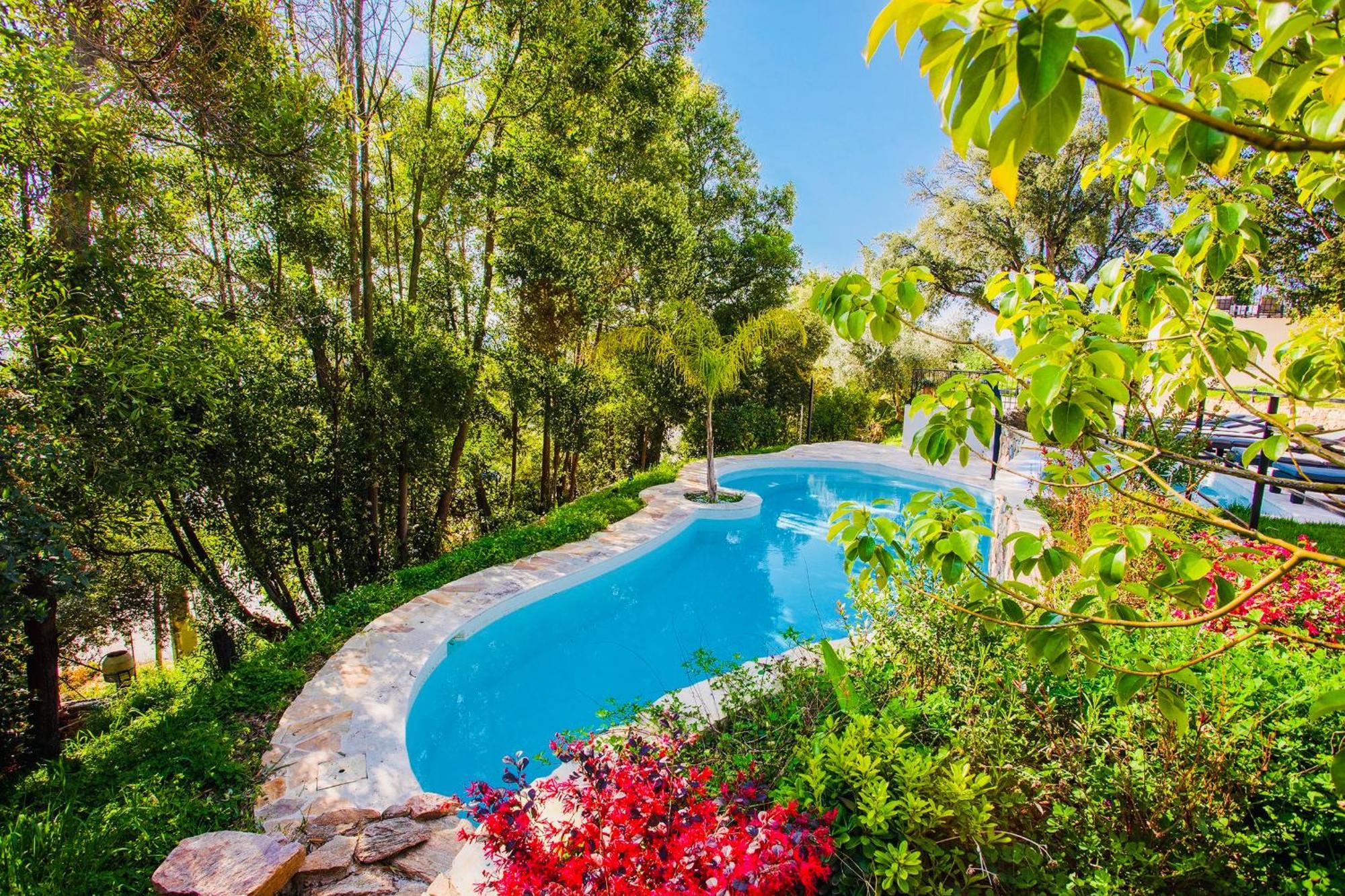 Villa Les Roches Mandelieu Exterior foto
